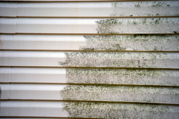 Best Yard Waste Removal  in Sebring, FL
