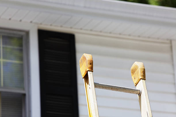 Best Demolition Debris Removal  in Sebring, FL